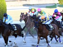 ����å��ǳ��������ɽ�����ޤ�