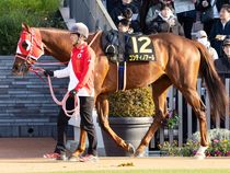 ����å��ǳ��������ɽ�����ޤ�