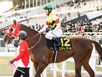 ����å��ǳ��������ɽ�����ޤ�