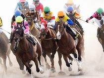 ����å��ǳ��������ɽ�����ޤ�