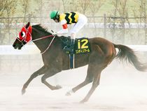 ����å��ǳ��������ɽ�����ޤ�