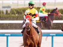 ����å��ǳ��������ɽ�����ޤ�