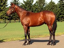 ����å��ǳ��������ɽ�����ޤ�