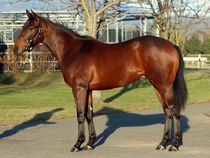 ����å��ǳ��������ɽ�����ޤ�