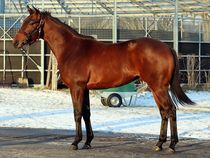 ����å��ǳ��������ɽ�����ޤ�