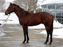 ����å��ǳ��������ɽ�����ޤ�