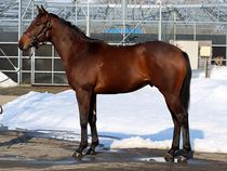 ����å��ǳ��������ɽ�����ޤ�