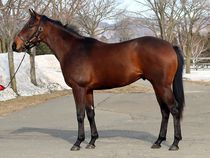 ����å��ǳ��������ɽ�����ޤ�