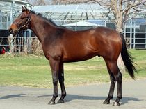 ����å��ǳ��������ɽ�����ޤ�