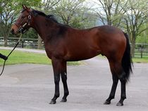 ����å��ǳ��������ɽ�����ޤ�