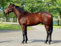 ����å��ǳ��������ɽ�����ޤ�