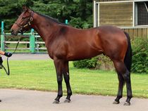 ����å��ǳ��������ɽ�����ޤ�