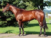 ����å��ǳ��������ɽ�����ޤ�