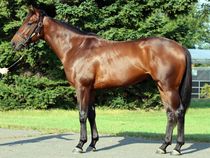 ����å��ǳ��������ɽ�����ޤ�