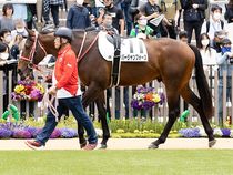 ����å��ǳ��������ɽ�����ޤ�