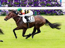 ����å��ǳ��������ɽ�����ޤ�