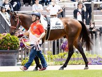 ����å��ǳ��������ɽ�����ޤ�