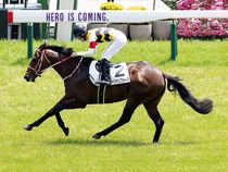 ����å��ǳ��������ɽ�����ޤ�