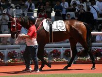 ����å��ǳ��������ɽ�����ޤ�