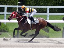 ����å��ǳ��������ɽ�����ޤ�