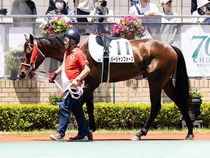 ����å��ǳ��������ɽ�����ޤ�