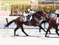 ����å��ǳ��������ɽ�����ޤ�