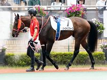 ����å��ǳ��������ɽ�����ޤ�