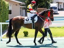 ����å��ǳ��������ɽ�����ޤ�