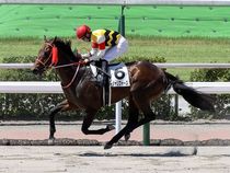 ����å��ǳ��������ɽ�����ޤ�