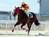 ����å��ǳ��������ɽ�����ޤ�