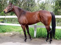 ����å��ǳ��������ɽ�����ޤ�