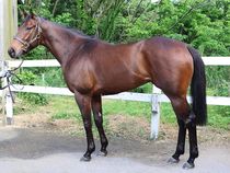 ����å��ǳ��������ɽ�����ޤ�