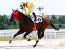 ����å��ǳ��������ɽ�����ޤ�