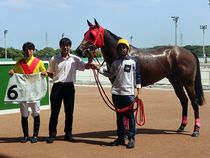 ����å��ǳ��������ɽ�����ޤ�