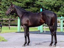 ����å��ǳ��������ɽ�����ޤ�