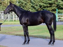 ����å��ǳ��������ɽ�����ޤ�