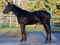 ����å��ǳ��������ɽ�����ޤ�