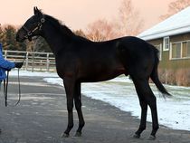 ����å��ǳ��������ɽ�����ޤ�