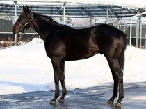 ����å��ǳ��������ɽ�����ޤ�