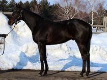 ����å��ǳ��������ɽ�����ޤ�