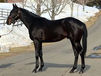 ����å��ǳ��������ɽ�����ޤ�