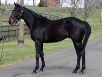 ����å��ǳ��������ɽ�����ޤ�