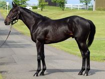 ����å��ǳ��������ɽ�����ޤ�