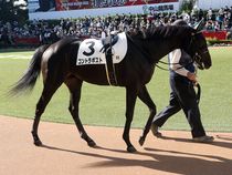 ����å��ǳ��������ɽ�����ޤ�