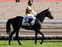 ����å��ǳ��������ɽ�����ޤ�