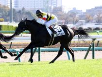 ����å��ǳ��������ɽ�����ޤ�