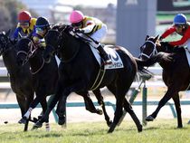 ����å��ǳ��������ɽ�����ޤ�