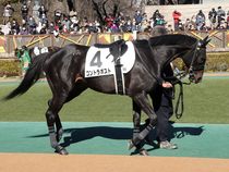 ����å��ǳ��������ɽ�����ޤ�