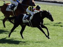 ����å��ǳ��������ɽ�����ޤ�