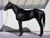 ����å��ǳ��������ɽ�����ޤ�